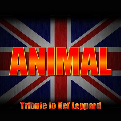 Animal - Greatest Hits - Def Leppard Tribute