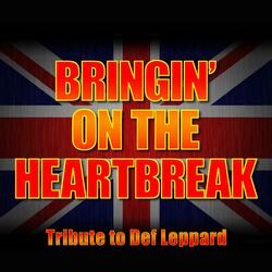 Bringin' On the Heartbreak - Greatest Hits - Def Leppard Tribute