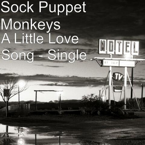 A Little Love Song