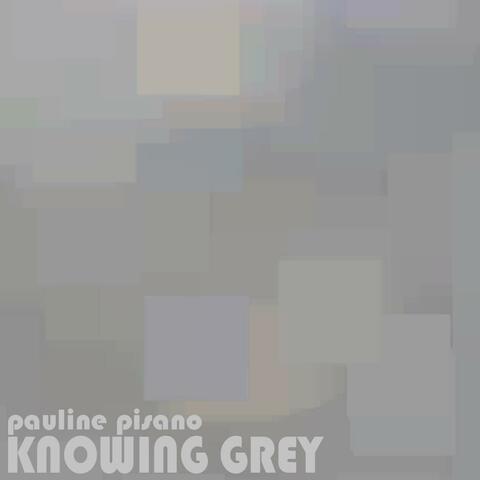 Knowing Grey