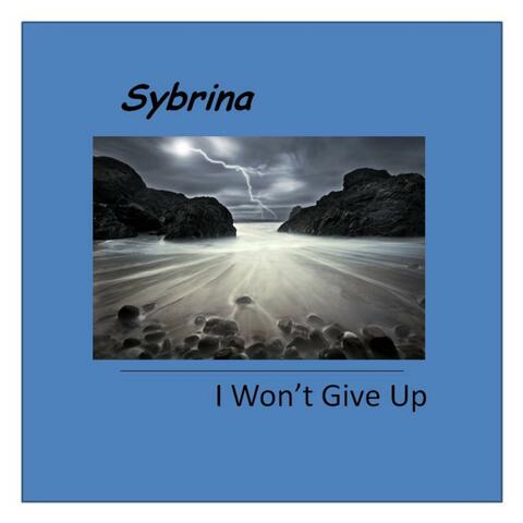 I Won't Give Up - Single