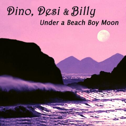Under a Beach Boy Moon - Single
