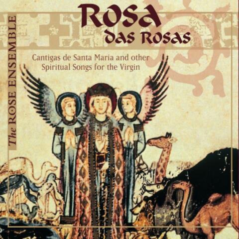 Rosa Das Rosas