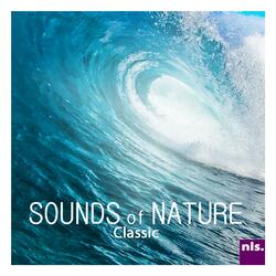 Adventure Tropic Rain - Sounds of Nature