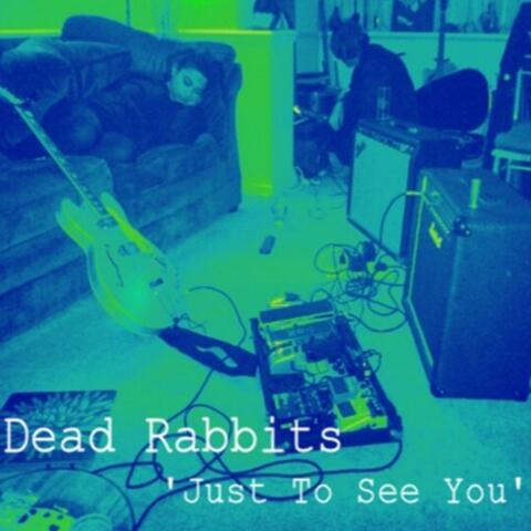 Just to See You