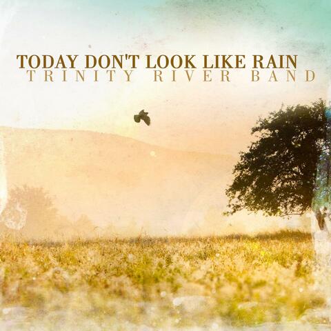 Today Don't Look Like Rain