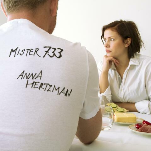Mister 733 (Smörmix)