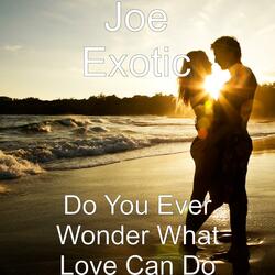 Do You Ever Wonder What Love Can Do