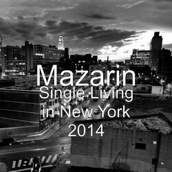 Single Living in New York 2014