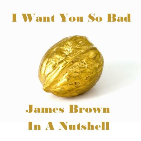 I Want You so Bad - James Brown in a Nutshell