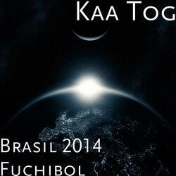 Brasil 2014 Fuchibol