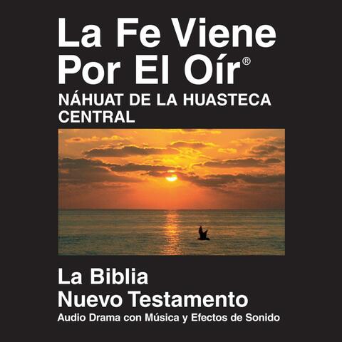 Náhuatl Huasteca Central Del Nuevo Testamento (Dramatizadas) - Nahuatl Huasteca Central Bible