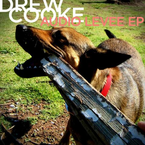 Audio Levee EP