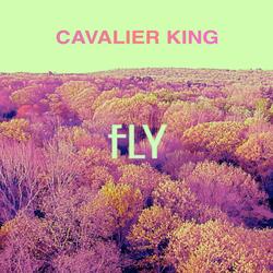 Fly