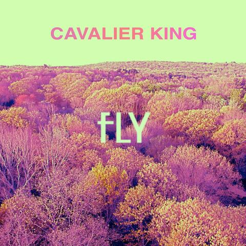 Fly