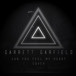 Can You Feel My Heart (Cover)