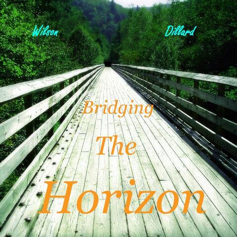 Bridging the Horizon