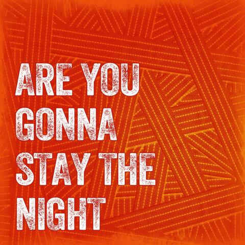 Are You Gonna Stay The Night (Radio & Re-mix Version) [Cover Tribute to by Zedd & feat. Hayley Williams, Zed Paramore]