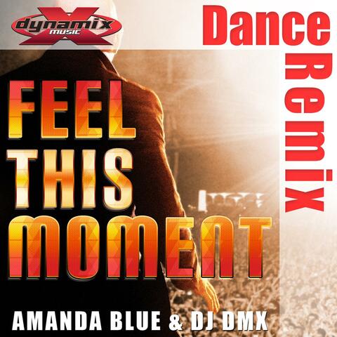 Feel This Moment (feat. DJ Dmx)