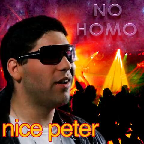 No Homo (Parody of Ridin' Solo)