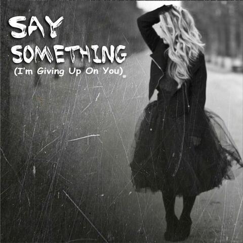 Say Something (I'm Giving up on You) [feat. Jules Jacob]