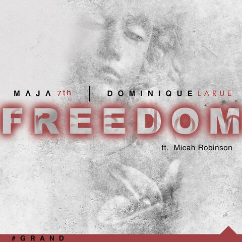 Freedom (feat. Micah Robinson)