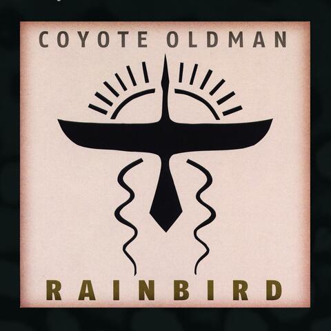 Rainbird