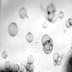 Molecules
