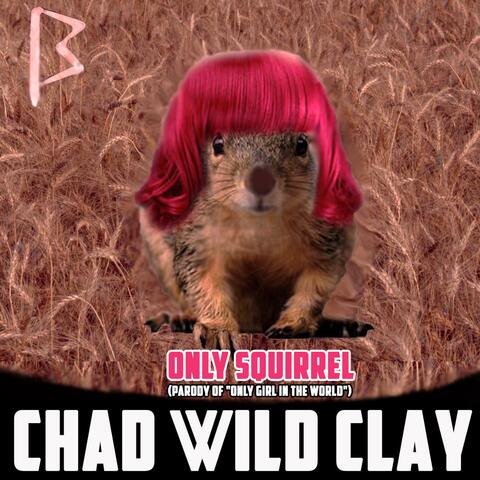 Only Squirrel (Parody of "Only Girl in the World")