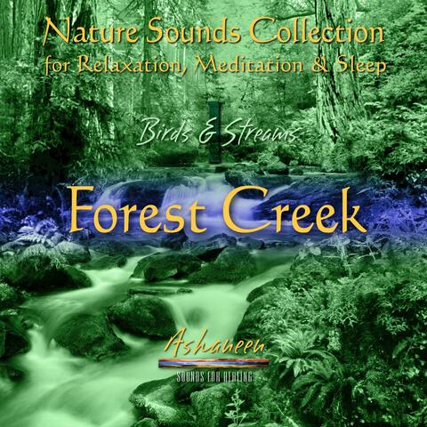 Nature Sounds Collection: Birds & Streams, Vol. 1 (Forest Creek)
