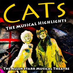 The Rum Tum Tugger