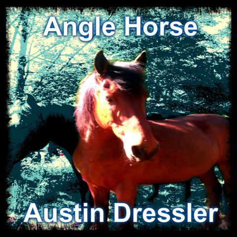 Angle Horse