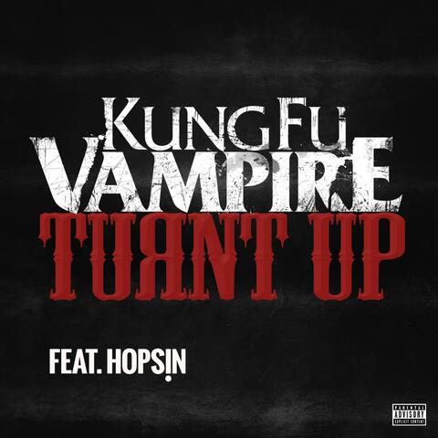 Kung Fu Vampire