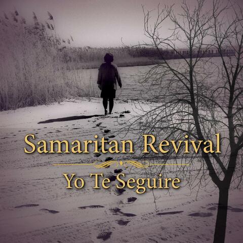 Yo Te Seguire (In the Style of Chris Tomlin) [I Will Follow]