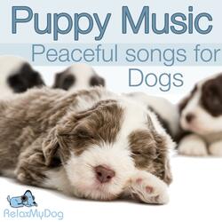 Puppy Sleep Music