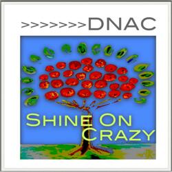 Shine On Crazy (Original Mix)
