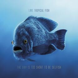 Speak Easy (feat. Nick Rolfe)