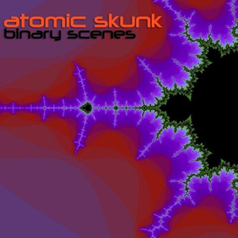 Binary Scenes