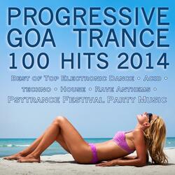 Orison (Progressive Goa Trance Remix) [feat. Shake]