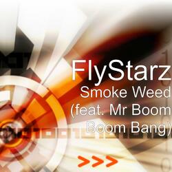 I Smoke Weed (feat. Mr Boom Boom Bang)