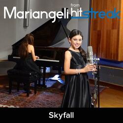 Skyfall (Cover)