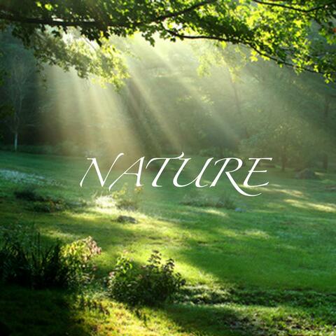 Nature - Son De Réveil