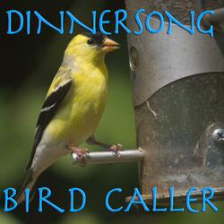American Goldfinch Bird Caller