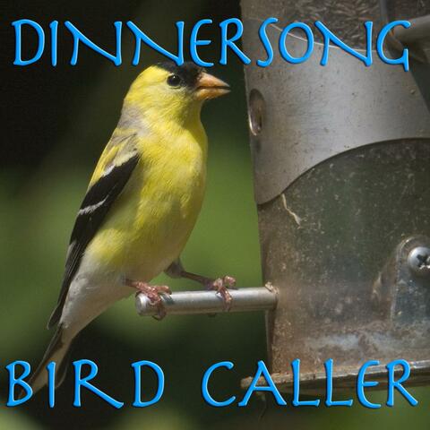 Dinnersong Bird Calls--Call Birds to Your New Bird Feeder by Playing over a Loud Speaker in a Loop!