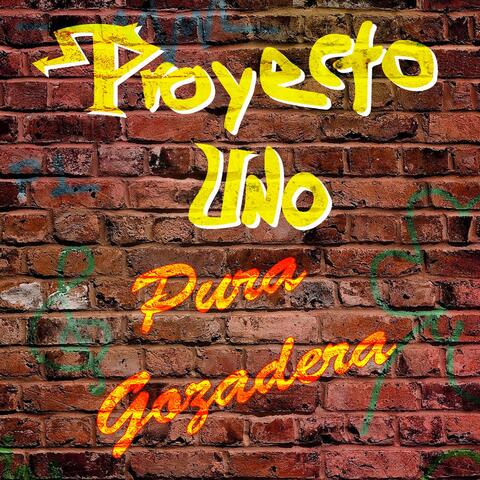 Pura Gozadera