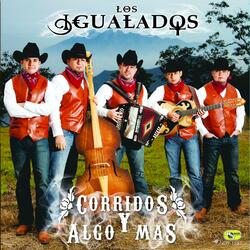 El Nariz Tapada