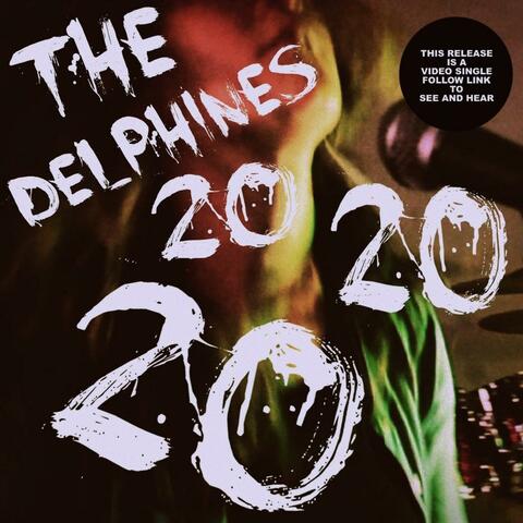 20 20 20