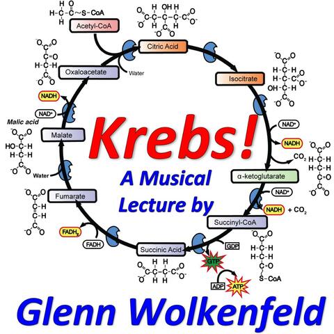 Krebs!