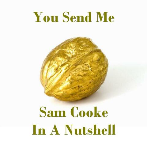 You Send Me - Sam Cooke in a Nutshell