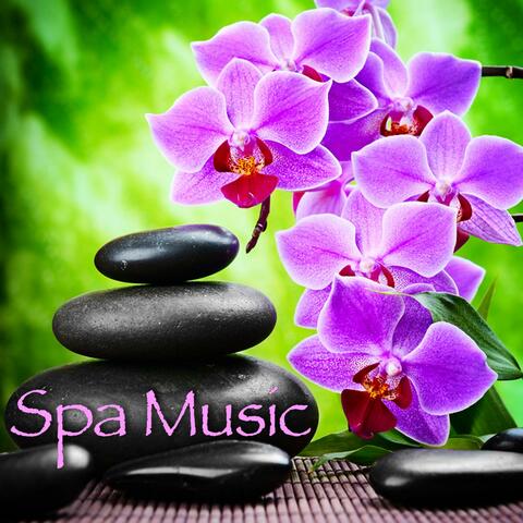 Spa Music - Beautiful Harp Songs for Relaxation and Healing